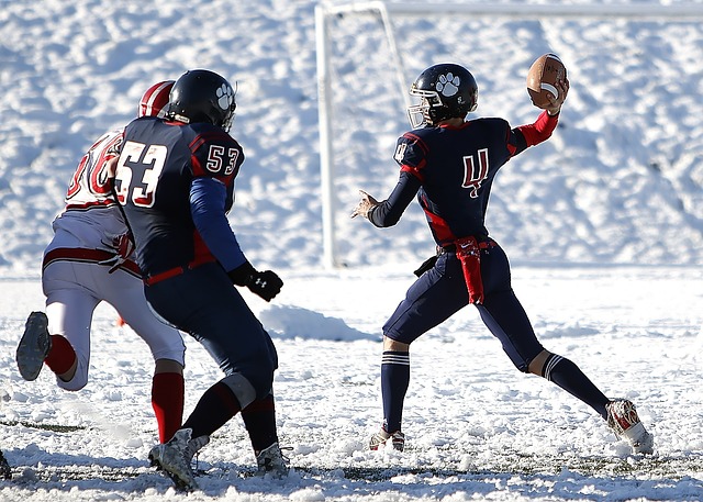 艺术就在于 艺术就在于