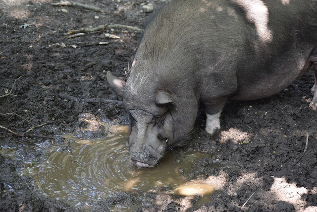 赛季的表现 赛季的表现