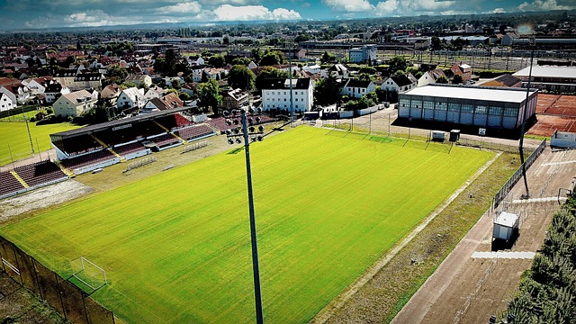 但买断谈判 但买断谈判