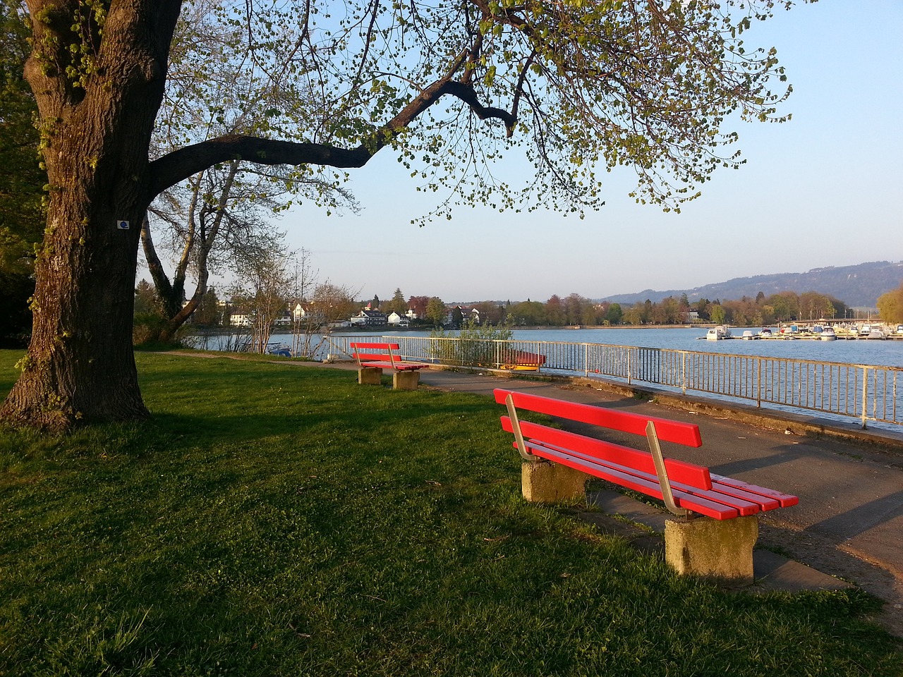 上的敏锐嗅 上的敏锐嗅